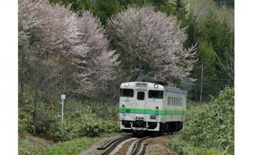 Jr北海道 北海道フリーパス 北海道 ふるさと納税 ふるさとチョイス