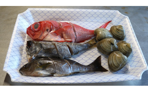 地魚3種とホンビノス貝のセットです。下処理・カット済みなので煮込むだけの簡単調理です。