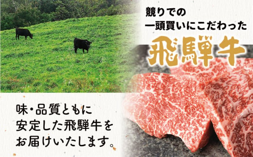 飛騨牛 霜降り・赤身 焼肉 各400ｇ（計800g） 牛肉 和牛 バラ モモカタ