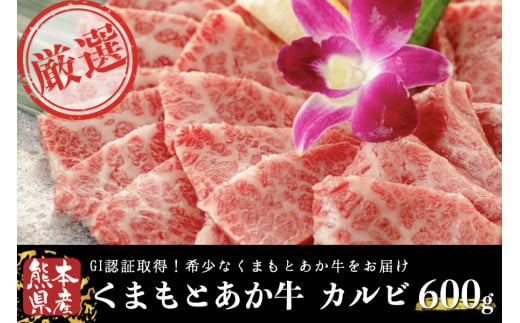 くまもとあか牛(GI) 焼肉用 牛カルビ 600g 427315 - 熊本県南小国町