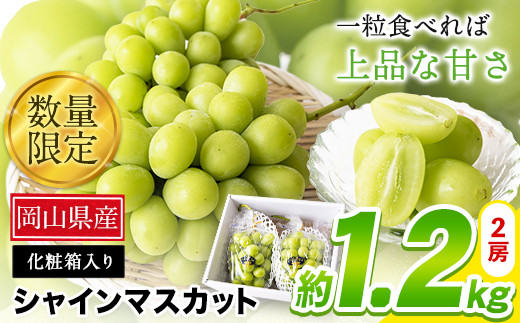 22 シャインマスカット 岡山 数量限定 大粒 約1 2kg 2房 産地直送 葡萄 果物 秀品 秋旬 令和4年9月中旬 10月下旬頃より順次出荷 スイーツ フルーツ デザート 岡山県 矢掛町 簡易包装 22年 矢掛町矢掛町 ふるさと納税 ふるさとチョイス