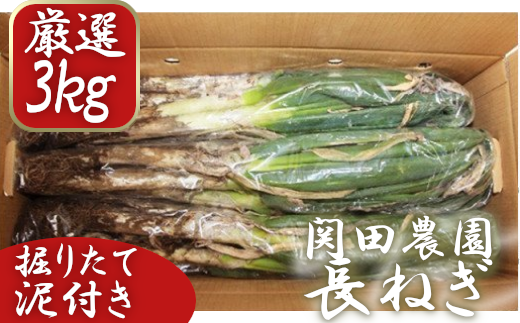 関田農園の「厳選　長ねぎ（泥付き）」箱3kg　【11246-0114】 419094 - 埼玉県白岡市