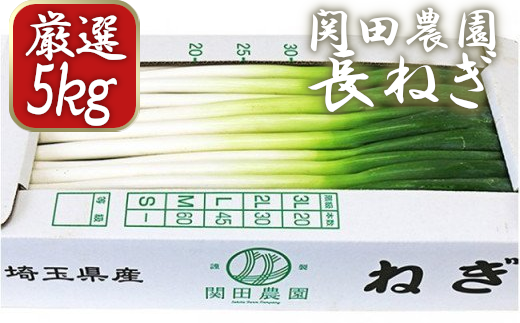 関田農園の「厳選　長ねぎ（剥き）」箱5kg　【11246-0113】 419093 - 埼玉県白岡市