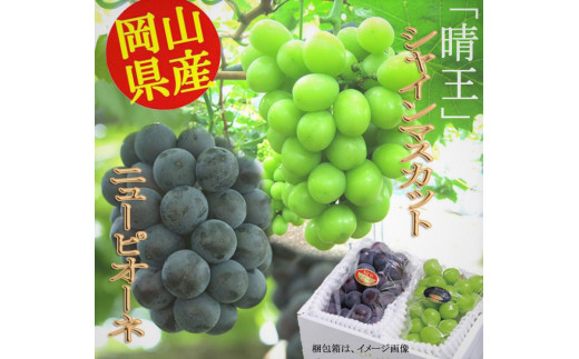 先行予約  岡山県産 ニューピオーネ （１房580g以上）＆ シャインマスカット 「 晴王 」 （1房580g以上） 種無し ぶどう ピオーネ シャイン マスカット フルーツ 果物 （令和6年産先行受付）【配送不可地域あり】H-40 