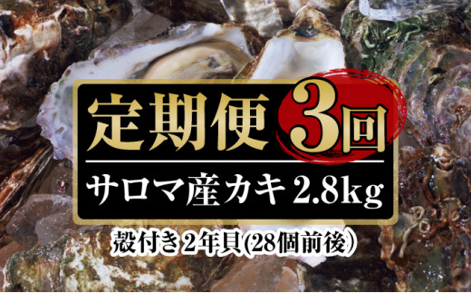 カキ 殻付き 2年貝 約2.8kg（28個前後） 佐呂間産 ［3回定期便］【丸