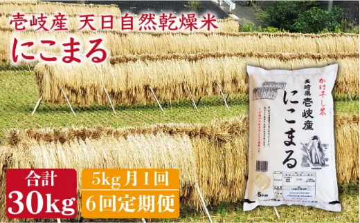 【全6回 定期便 】お米 にこまる 5kg 壱岐産かけ干し米 《 壱岐市