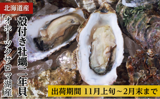 カキ 殻付き 2年貝 約3kg（30個前後） 佐呂間産 ［2回定期便］【丸サチ