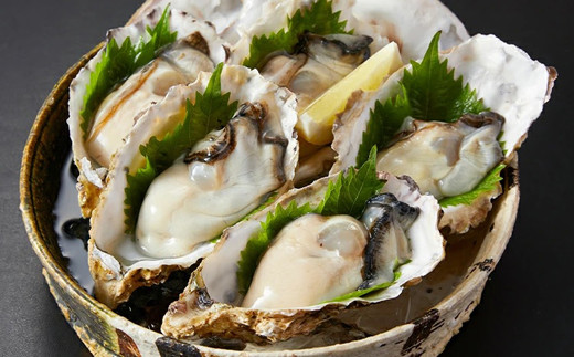 17-02生食用　浦村牡蠣30個入セット