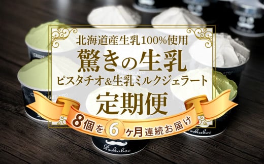 ＜ 6ヶ月 定期便 ＞ 北海道産 生乳 ジェラート アイス 毎月 8個 ピスタチオ ＆ 生乳 ミルク 各 4個  詰め合わせ ジェラート セット