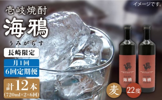 【全6回 定期便 】麦焼酎 海鴉 25度 720ml 2本入りセット 《 壱岐市 》【天下御免】[JDB111] 90000 90000円 288690 - 長崎県壱岐市