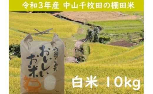 小豆島 中山千枚田の棚田米 白米 ５キロ ２ 香川県小豆島町 ふるさと納税 ふるさとチョイス