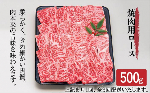 全3回定期便 】壱岐牛 焼肉 （ロース・カルビ）各500g 《壱岐市