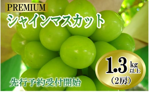 山梨県産　シャインマスカット大粒　２房