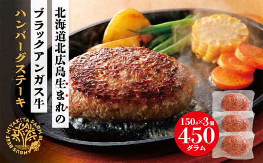 北海道北広島産 ブラックアンガス牛 ハンバーグステーキ 450g(150g×3個)牛肉