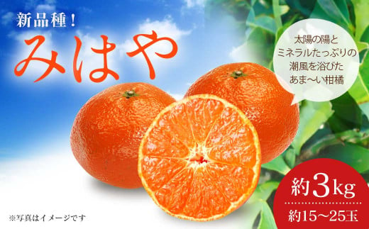 みはや 約3kg（15～25玉）吉田レモニー みかん 柑橘