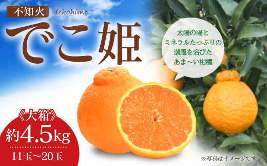 不知火 でこ姫 大箱 約4.5kg（11～20玉）吉田レモニー 柑橘 フルーツ 果物