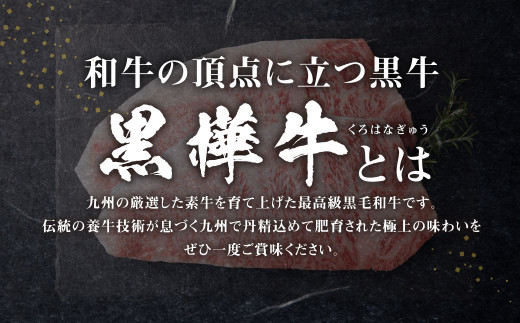 くまもと黒毛和牛 杉本本店 黒樺牛 A4~A5等級 肉厚サーロインステーキ 300g×2 計600g