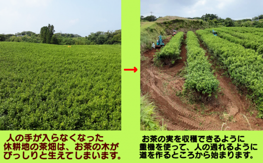 高齢化が進み、手入れのされなくなった茶畑に【お茶の実】はできます。重機を使って、収穫できる道を作るところから始まります。