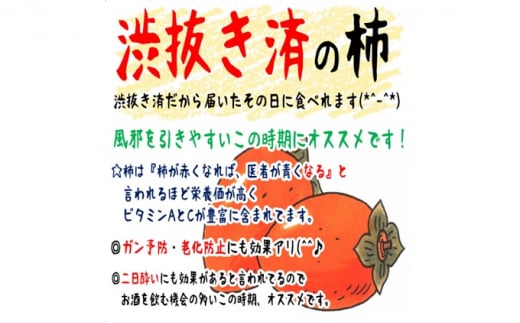 52 0737 あたご柿 渋抜き済 個包装 約5kg 岡山県岡山市 ふるさと納税 ふるさとチョイス