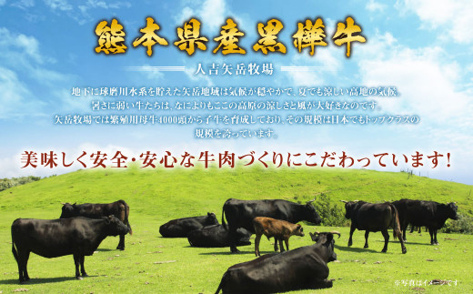 くまもと 黒毛和牛 黒樺牛 A4~A5等級 ローススライス  すき焼き用 (250g×2) 500g 牛肉 和牛