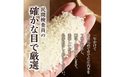 SC 5回定期便無洗米 特別栽培米つや姫 2kg×5回計kg SA