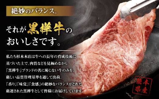 くまもと 黒毛和牛 黒樺牛 A4~A5等級 ローススライス  すき焼き用 (250g×2) 500g 牛肉 和牛