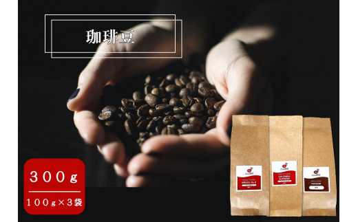 【コーヒー豆】ブラジルNo.2、和み、コロンビアスプレモ（カフェインレス）【100g×3袋】】「提供形態：豆」 					 496917 - 奈良県川西町