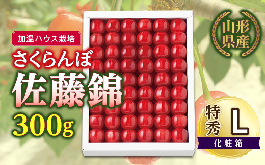 先行予約】（加温ハウス栽培）山形県産さくらんぼ佐藤錦 300g 特秀 L 化粧箱 F2Y-5168 - 山形県｜ふるさとチョイス - ふるさと納税サイト