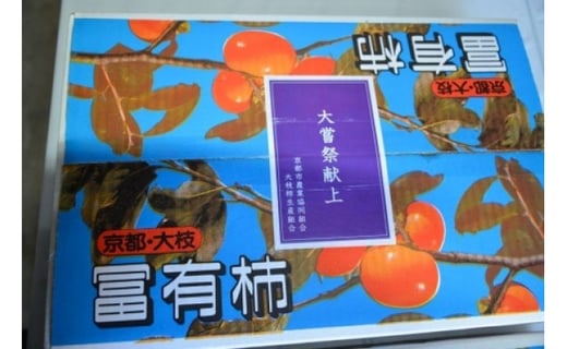 大枝冨有柿＜Lサイズ 15個＞【京都市農協 大枝支部】-