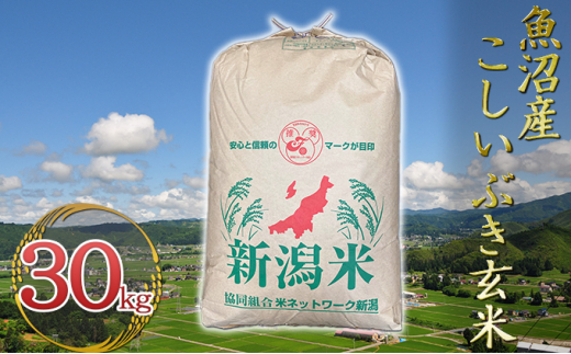 5762 0842 令和3年産 魚沼産こしいぶき1等 玄米 30kg 新潟県魚沼市 ふるさと納税 ふるさとチョイス