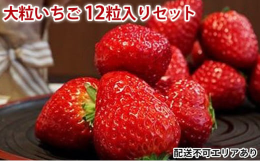 大粒いちご 12粒入りセット[ いちご イチゴ 苺 フルーツ 果物 新鮮 糖度 ] 252304 - 兵庫県小野市