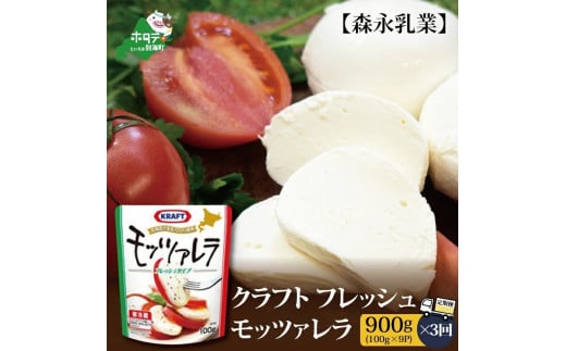 定期便】森永乳業モッツァレラチーズ ９００g(１００g×９P)×３ヵ月