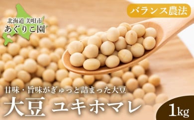 【バランス農法】農薬や肥料を使わずに育てた大豆　ユキホマレ　1kg 1193852 - 北海道美唄市