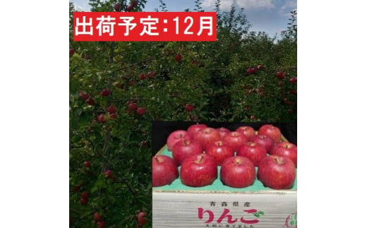 12月発送 蜜入り 最高等級「特選」大玉 葉とらず サンふじ 約5kg 糖度14度以上 【 弘前市産 青森りんご 】※オンライン決済のみ 893982 - 青森県弘前市