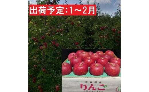 1月～2月発送 最高等級「特選」大玉 葉とらず サンふじ 約5kg 糖度14度以上 【 弘前市産 青森りんご 】 685100 - 青森県弘前市