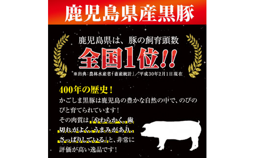 鹿児島県黒豚・茶美豚使用 カレーセット(3種・計6個)【JA鹿児島いずみ