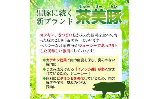 鹿児島県黒豚・茶美豚使用 カレーセット(3種・計6個)【JA鹿児島いずみ