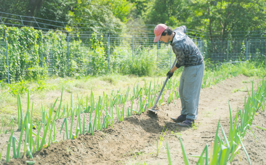 尾鷲市三木里地区の「耕作放棄地」を再利用
農薬不使用・植物性自然肥料を使用して育てた野菜です。