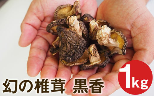 幻の椎茸 黒香 1kg 希少品種の乾燥椎茸 しいたけ きのこ 1369846 - 熊本県菊池市