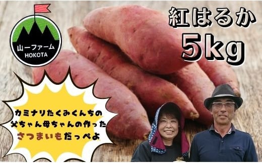 紅はるか（5kg入り）1箱 290163 - 茨城県鉾田市