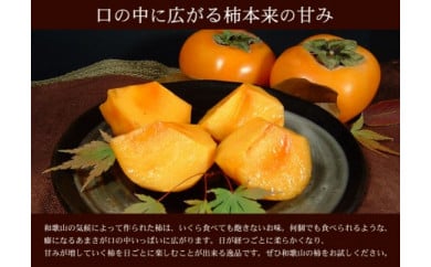 和歌山の種なし柿　約7.5kg（秀品：サイズ・品種おまかせ）／紀伊国屋文左衛門本舗【TC4】