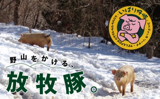 シェフもおすすめ「日本で一番おいしい豚肉！」★いばり仔豚★ソーセージ＆ベーコン＆ハム4種詰め合わせコース 691285 - 宮城県南三陸町