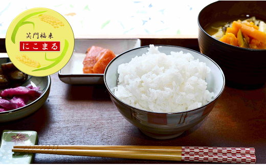 【数量限定】熊本県産 にこまる 10kg お米 食味コンクール 金賞