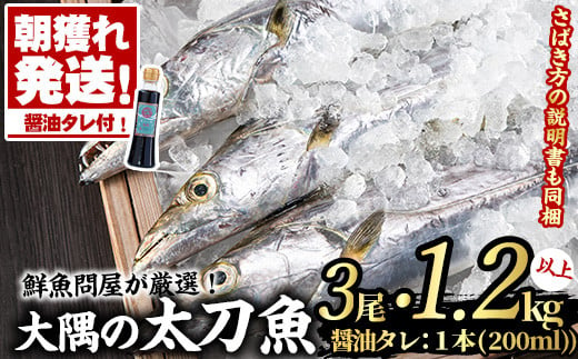 鮮度が命 鮮魚問屋が厳選した大隅の太刀魚とオリジナル醤油タレセット 3尾 総量1 2kg以上 醤油タレ1本 江川商店 鹿児島県東串良町 ふるさとチョイス ふるさと納税サイト