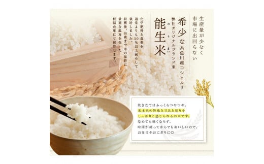 新潟県糸魚川産コシヒカリ 玄米30㎏ 農家直送（精米サービス可能） 令