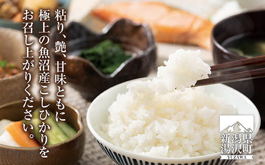令和5年産 新潟県 湯沢町産 コシヒカリ お米 5kg 精米 魚沼 米