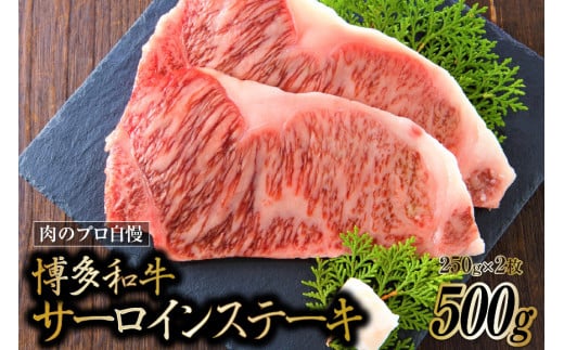 博多和牛 A4以上 サーロインステーキ 250g×2枚 / MEAT PLUS / 福岡県 筑紫野市 [21760036] 牛肉 和牛 黒毛和牛  冷凍|株式会社　MEAT PLUS