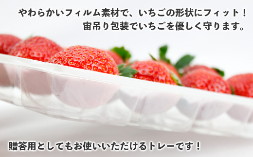 発送時期が選べます】いちごやす農園 完熟・朝採りいちご400g×2箱（2