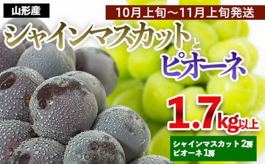 Fs21 610 令和4年産先行予約 山形産 シャインマスカット 2房 ピオーネ 1房 秀品 1 7kg以上 10月上旬 11月上旬発送 山形県山形市 ふるさと納税 ふるさとチョイス