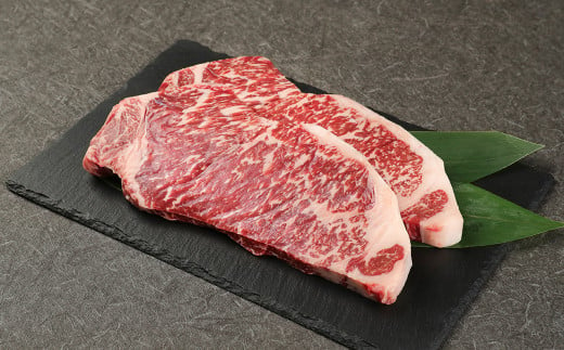 地元ブランド くまもとあか牛 ロース ステーキ 計500g（250g×2枚） 国産 和牛 333323 - 熊本県宇城市